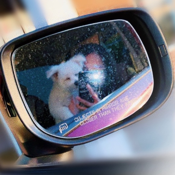 Meet your Posher, Joanna - Picture 2 of 4